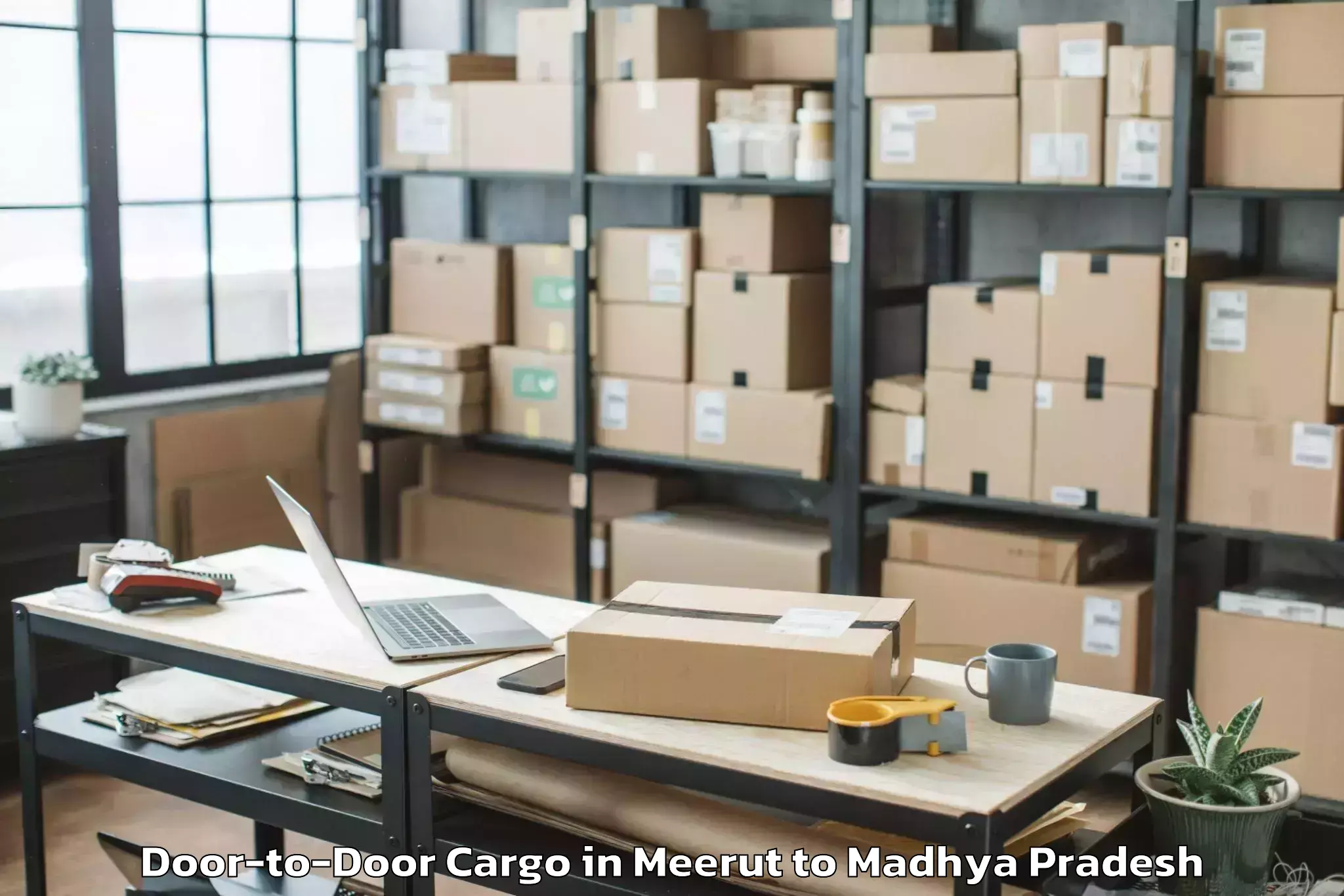 Expert Meerut to Dabra Door To Door Cargo